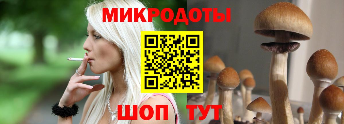 Псилоцибиновые грибы мухоморы  Псилоцибиновые грибы мухоморы  Саранск  Вход с VPN 