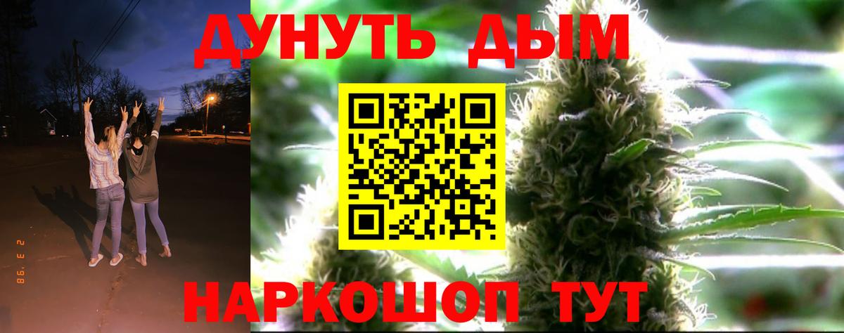 Бошки марихуана семена  Бошки Шишки SATIVA & INDICA  Саранск  МАРИХУАНА гибрид  МАРИХУАНА планчик  Вход с VPN 